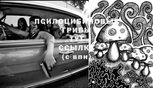 дмт Богородицк